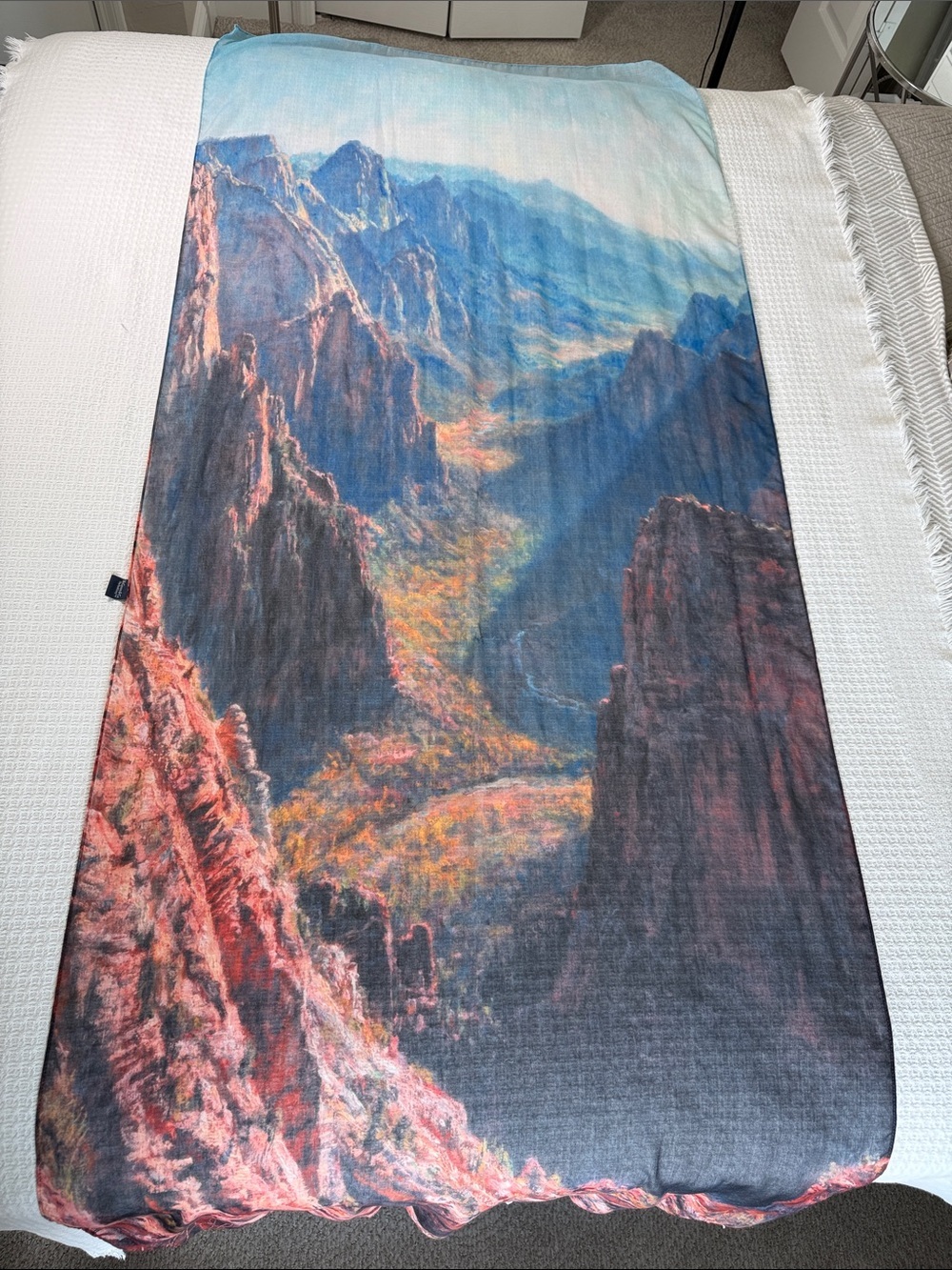 McGovern & Co The Park Scarf- National Park Grand Canyon scene Art to Wear